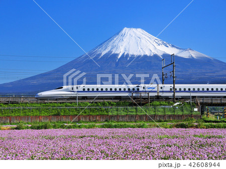 レンゲと新幹線と富士山-5039 42608944