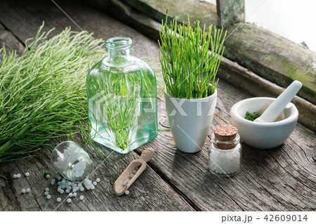 Horsetail healing herbs, equisetum infusion bottle Horsetail healing herbs, equisetum infusion bottle 42609014
