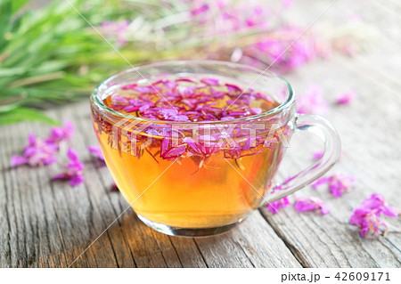 Fireweed healthy tea. Mug of chamerion tea. 42609171