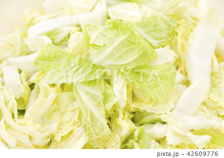 白菜のざく切り 白菜のざく切り 42609776