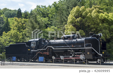 生田緑地に展示されている蒸気機関車D51（神奈川県川崎市） 42609995