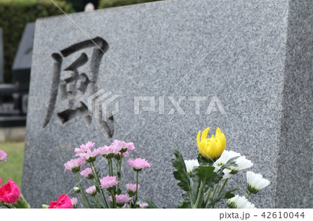 墓石 42610044