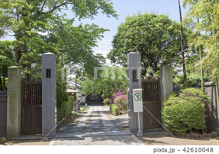 谷中にある龍泉寺の山門（東京都台東区） 42610048