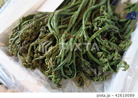 わらび わらび 42610089