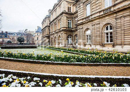 Luxembourg Palace garden in a freezing winter day Luxembourg Palace garden in a freezing winter day 42610103