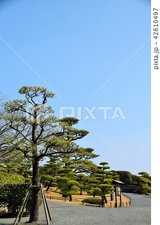 仙巌園島津 斉彬 せごどん 西郷隆盛 篤姫 世界文化遺産 大名庭園 大久保利通 せごどんロケ地 仙巌園島津 斉彬 せごどん 西郷隆盛 篤姫 世界文化遺産 大名庭園 大久保利通 せごどんロケ地 42610497
