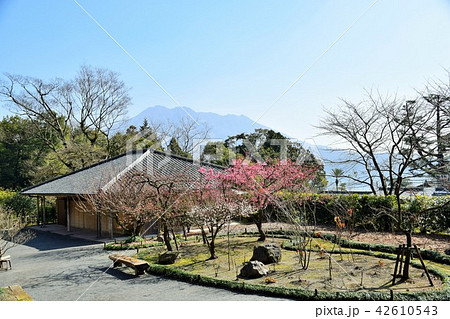 仙巌園島津 斉彬 せごどん 西郷隆盛 篤姫 世界文化遺産 大名庭園 大久保利通 せごどんロケ地 仙巌園島津 斉彬 せごどん 西郷隆盛 篤姫 世界文化遺産 大名庭園 大久保利通 せごどんロケ地 42610543