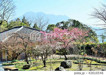 仙巌園島津 斉彬 せごどん 西郷隆盛 篤姫 世界文化遺産 大名庭園 大久保利通 せごどんロケ地 仙巌園島津 斉彬 せごどん 西郷隆盛 篤姫 世界文化遺産 大名庭園 大久保利通 せごどんロケ地 42610546