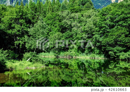 夏の秋山郷　天池 42610663