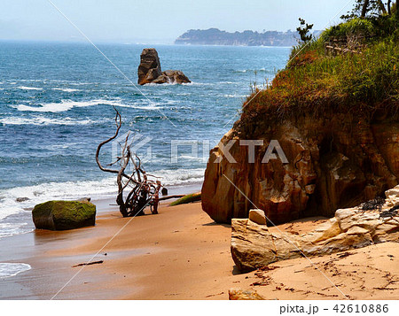 夏の小貝浜 夏の小貝浜 42610886
