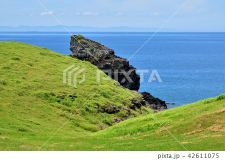 ゴリラ岩　鬼の足跡付近　牧崎公園　遠望は対馬　長崎県壱岐市　壱岐市郷ノ浦町 42611075