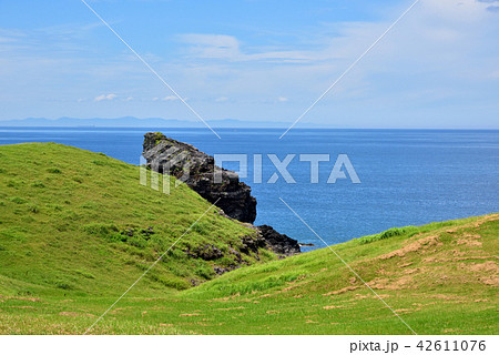 ゴリラ岩　鬼の足跡付近　牧崎公園　遠望は対馬　長崎県壱岐市　壱岐市郷ノ浦町 42611076
