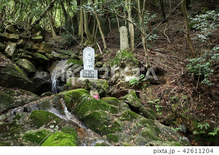 中山寺 奥之院参道の石仏 中山寺 奥之院参道の石仏 42611204