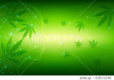 marijuana leavesvect, Cannabis Seal for Treatment 42611248