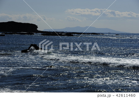 長浜海岸 42611460
