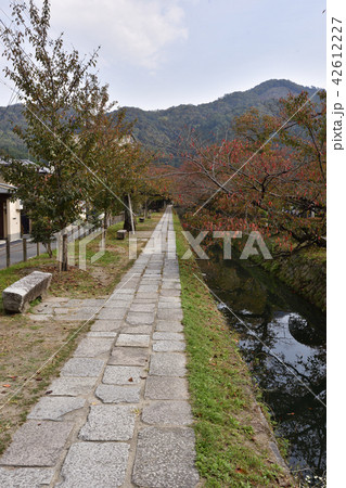 哲学の道 哲学の道 42612227