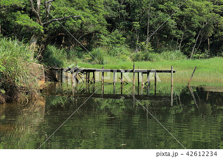 台湾の秘境 新山夢湖 台湾の秘境 新山夢湖 42612234
