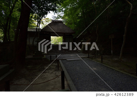 法然院 山門 法然院 山門 42612389