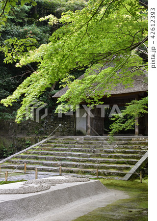 法然院 山門 法然院 山門 42612393