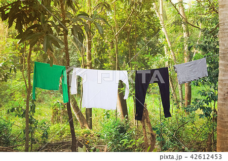 Hanging out the clothes on the rope  42612453