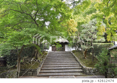 安楽寺 山門 安楽寺 山門 42612474