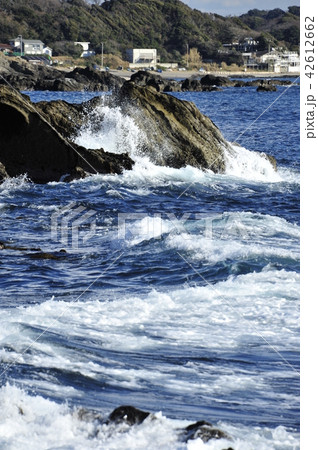 荒崎 荒崎 42612662