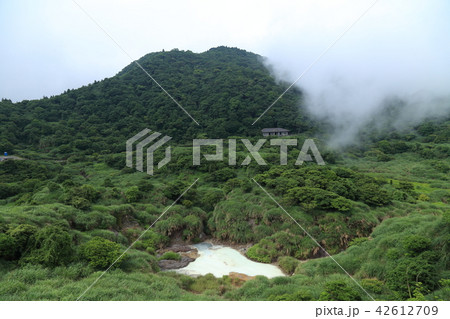 陽明山 牛奶湖 42612709