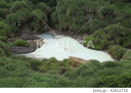 陽明山 牛奶湖 陽明山 牛奶湖 42612710