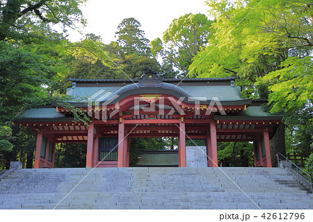 香取神宮 香取神社 香取神宮 香取神社 42612796