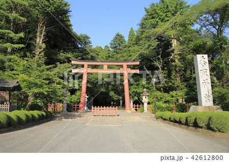 香取神宮 香取神社 香取神宮 香取神社 42612800