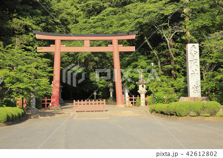香取神宮 香取神社 香取神宮 香取神社 42612802