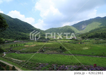 陽明山 風景一望 42612861
