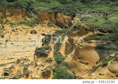 台湾観光 基隆和平島公園 42613292