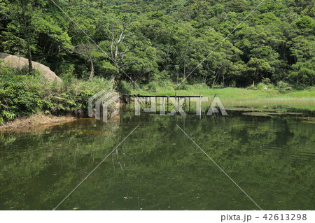 台湾の秘境 新山夢湖 台湾の秘境 新山夢湖 42613298
