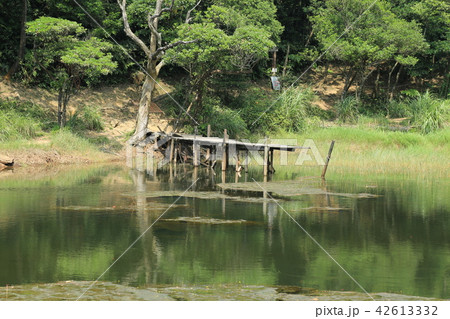 台湾の秘境 新山夢湖 台湾の秘境 新山夢湖 42613332