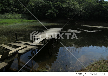 台湾の秘境 新山夢湖 台湾の秘境 新山夢湖 42613334