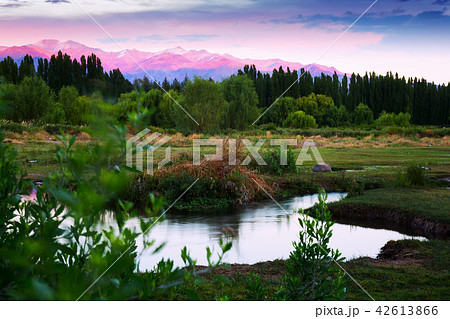 View of Andes mountains from green valley View of Andes mountains from green valley 42613866