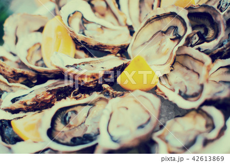 oysters close up oysters close up 42613869