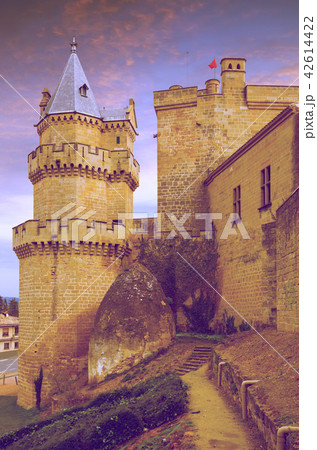 Old castle at Olite Old castle at Olite 42614422
