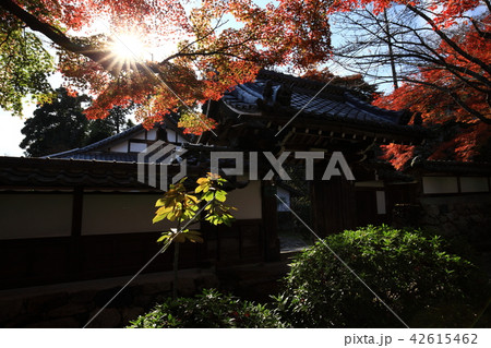 西教寺より 42615462