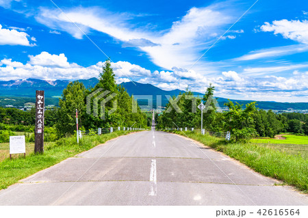 北海道 かみふらの八景 パノラマロード江花の写真素材