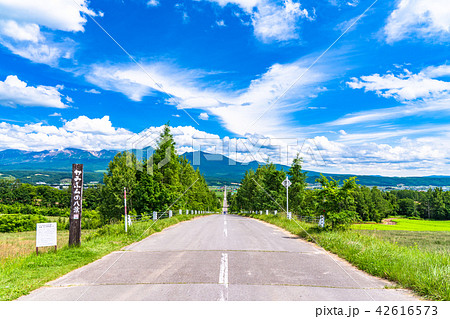 北海道 かみふらの八景 パノラマロード江花の写真素材