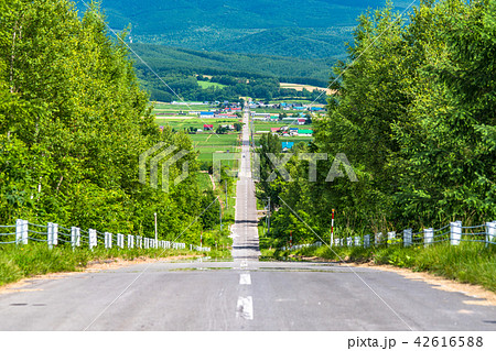 北海道 かみふらの八景 パノラマロード江花の写真素材