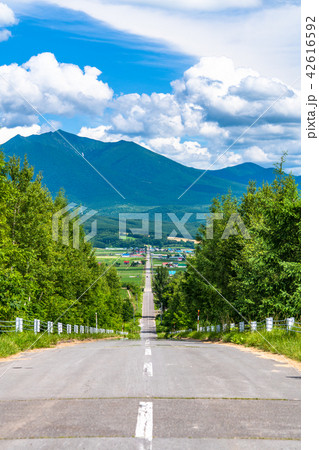 北海道 かみふらの八景 パノラマロード江花の写真素材