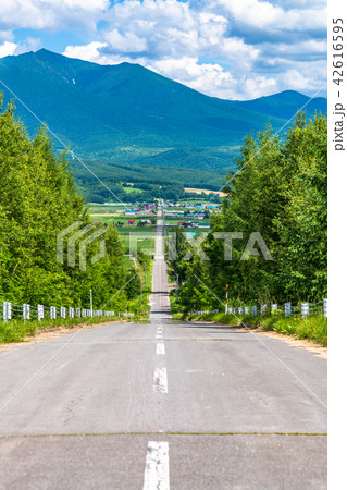 北海道 かみふらの八景 パノラマロード江花の写真素材