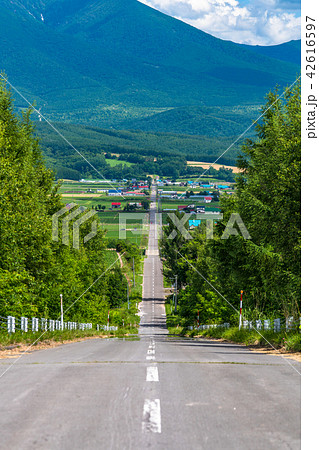 北海道 かみふらの八景 パノラマロード江花の写真素材