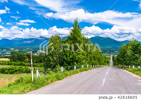 北海道 かみふらの八景 パノラマロード江花の写真素材