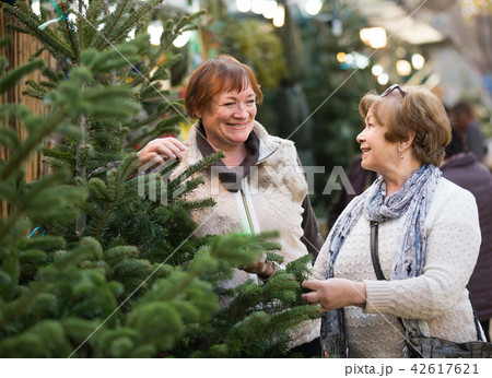 female pensioners buying New Year tree at fair female pensioners buying New Year tree at fair 42617621
