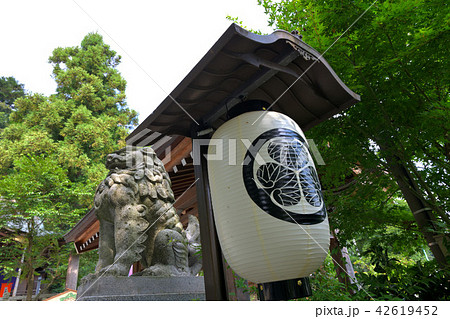 日本古来の四大明神　毛谷黒龍神社 42619452