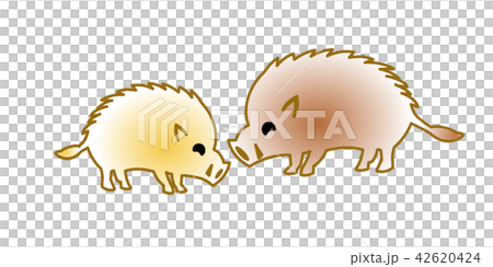 亥年年賀素材 仲良しイノシシ 亥年年賀素材 仲良しイノシシ 42620424